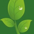 Centros Culturales Sustentables