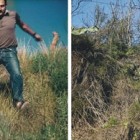 f-muestras-ausencias.jpg