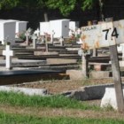 El solar 74 del cementerio, uno de los sectores donde comenzará a trabajar el Equipo de Antropología Forense. Imagen: Alberto Gentilcore.
