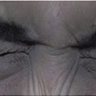 untitled-1_pq.jpg