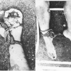 Las imágenes exhiben cuerpos torturados, con manos y piernas atadas, algunos con sogas de persianas.